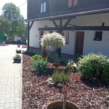 Dagmar Kokašice